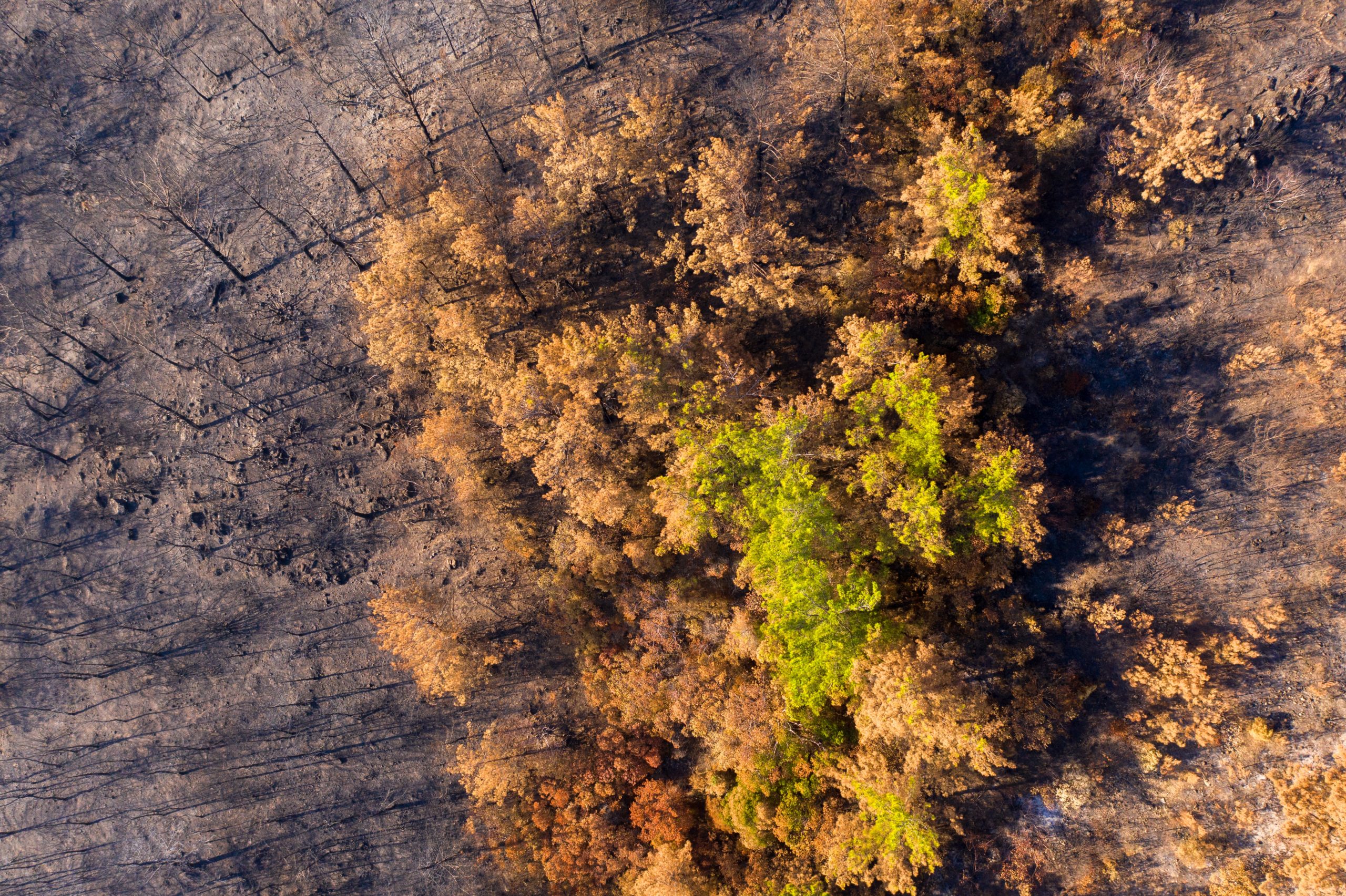 O impacto positivo não exige perfeição, mas ética
